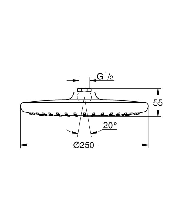 Верхний душ Grohe Tempesta 250 (26666000)