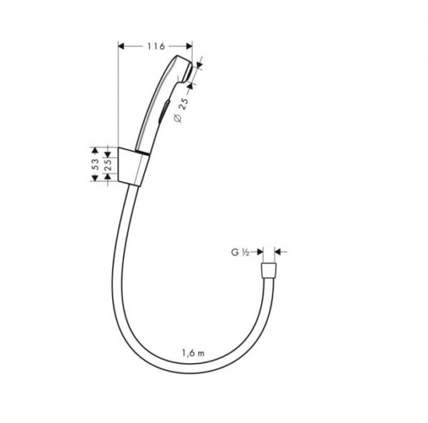 Hansgrohe Гигиенический душ, со шлангом 1,60 м и держателем, 1/2