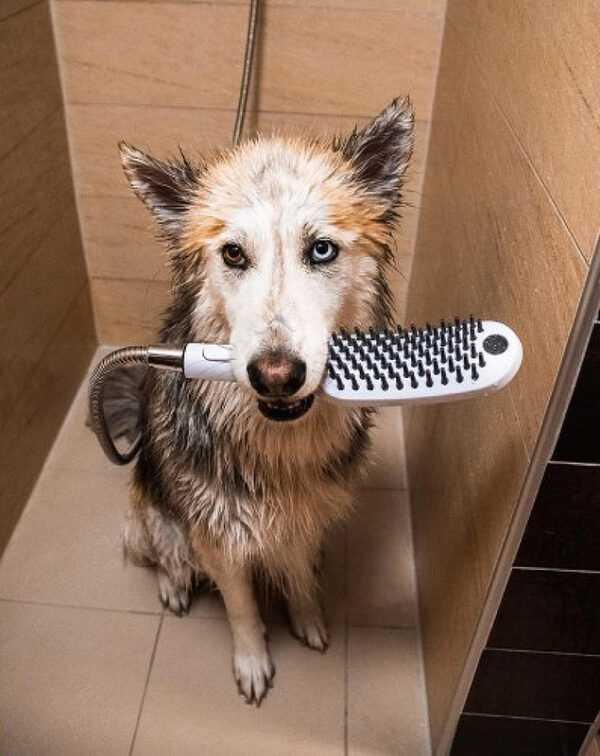 Ручной душ Hansgrohe DogShower для животных, черный матовый