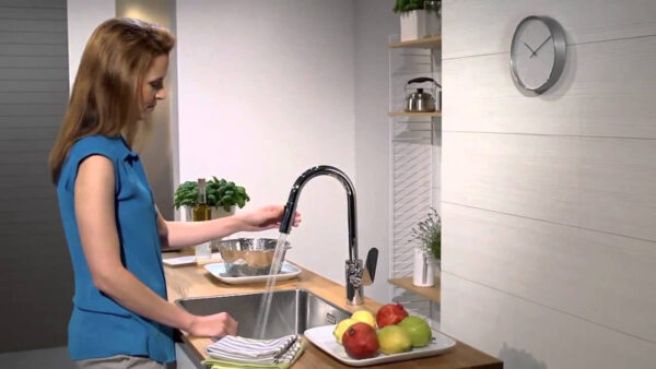 Hansgrohe Focus Смеситель для кухни 240, однорычажный, с выдвижным душем, 1/2